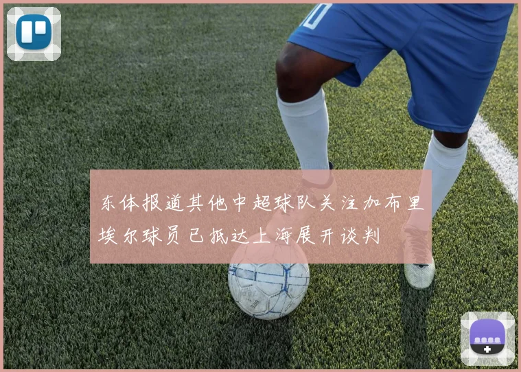 东体报道其他中超球队关注加布里埃尔球员已抵达上海展开谈判
